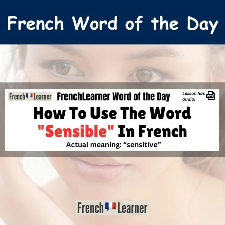 How To Use The Word &ldquo;Sensible&rdquo; In French