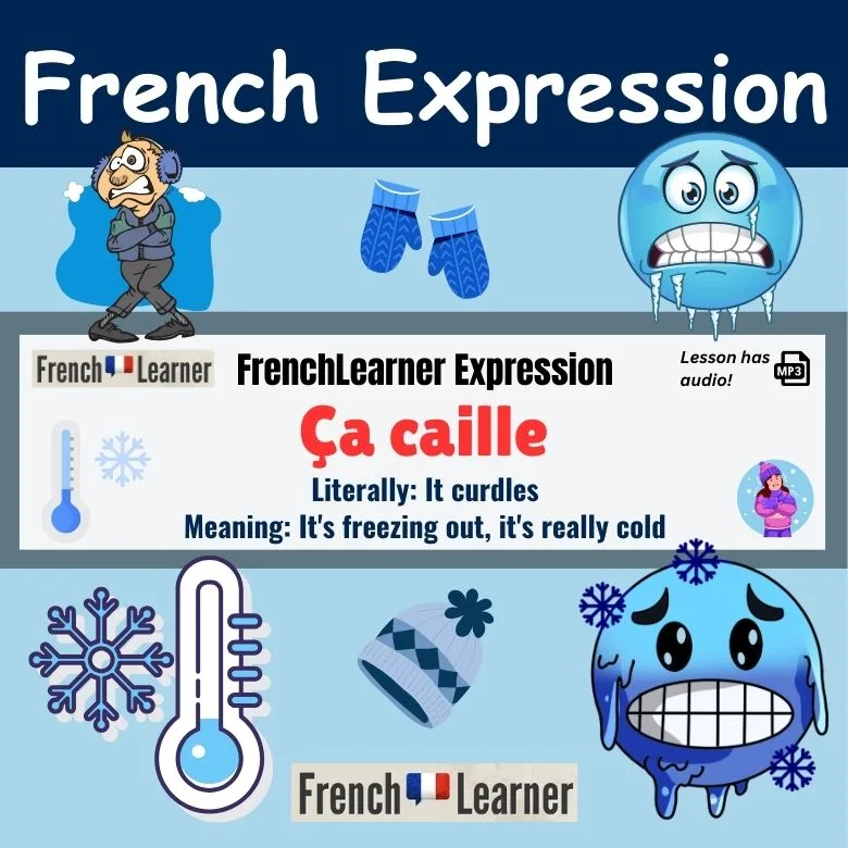 &Ccedil;a caille - French expression meaning: It's freezing out, it's really cold.