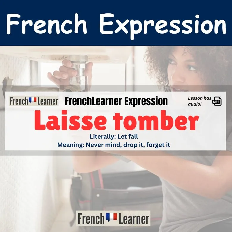 Laisse tomber: French expression meaning never mind, drop it, forget it.