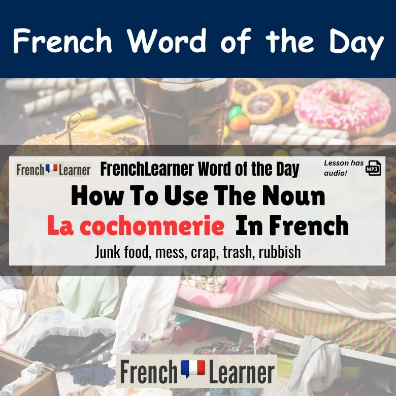 Cochonnerie - French feminine noun meaning junk food, mess, crap, trash, rubbish.