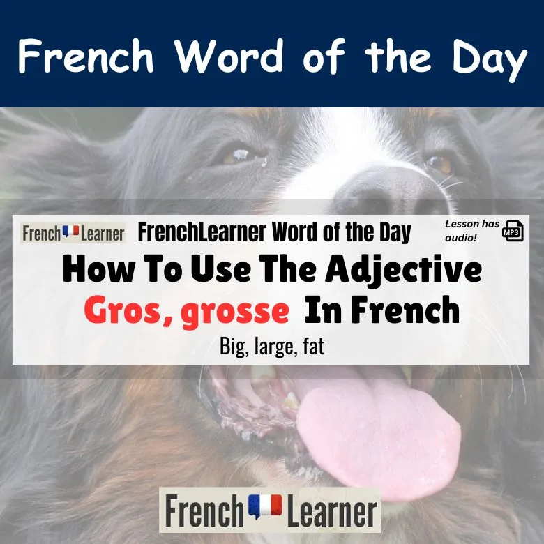 Gros, grosse - French adjective meaning big, large, fat.