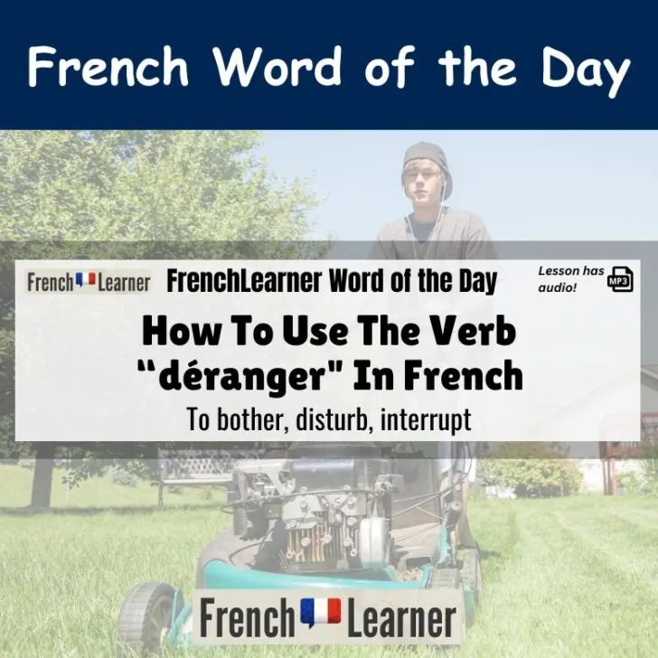 D&eacute;ranger (To bother)