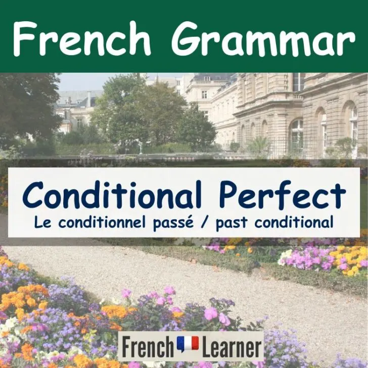French Conditional Perfect