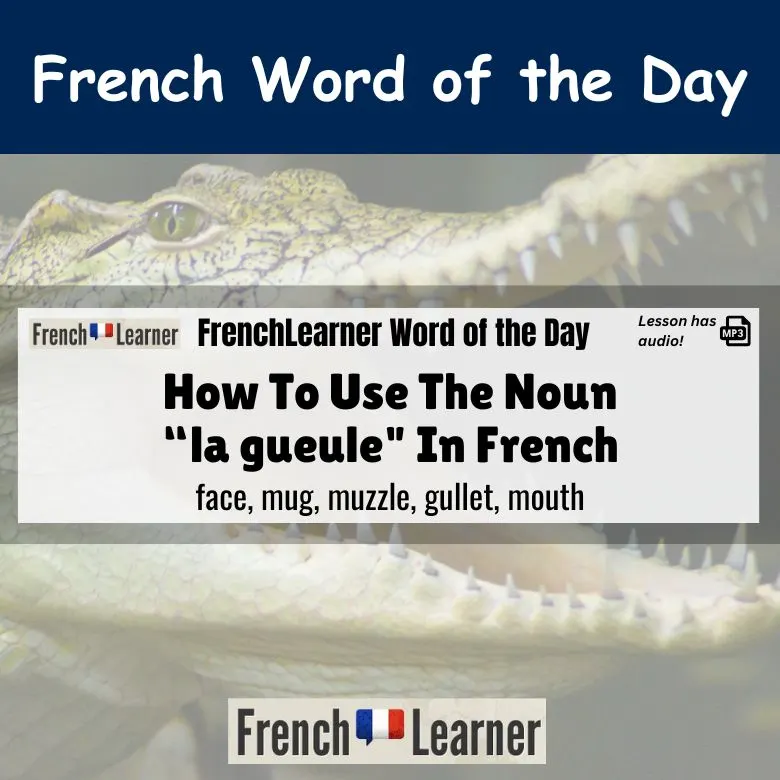 La gueule - French feminine noun. Translation: Face, mug, muzzle, gullet, mouth.