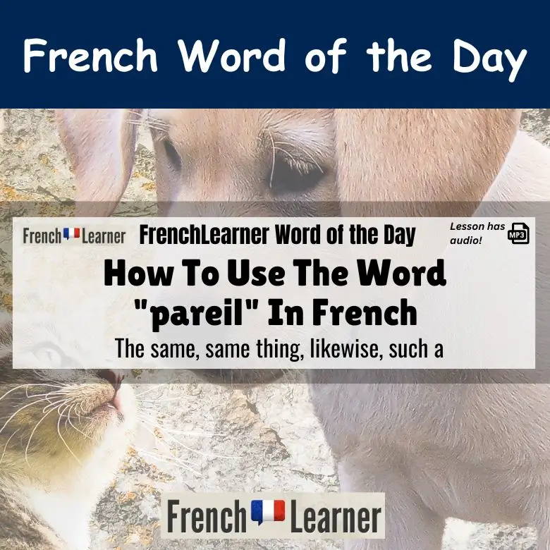 Pareil - French for the same, same thing, likewise, such a.