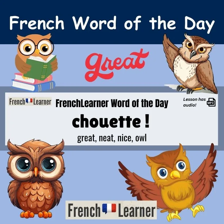 Chouette - French interjection and feminine noun meaning great, neat, nice and owl.