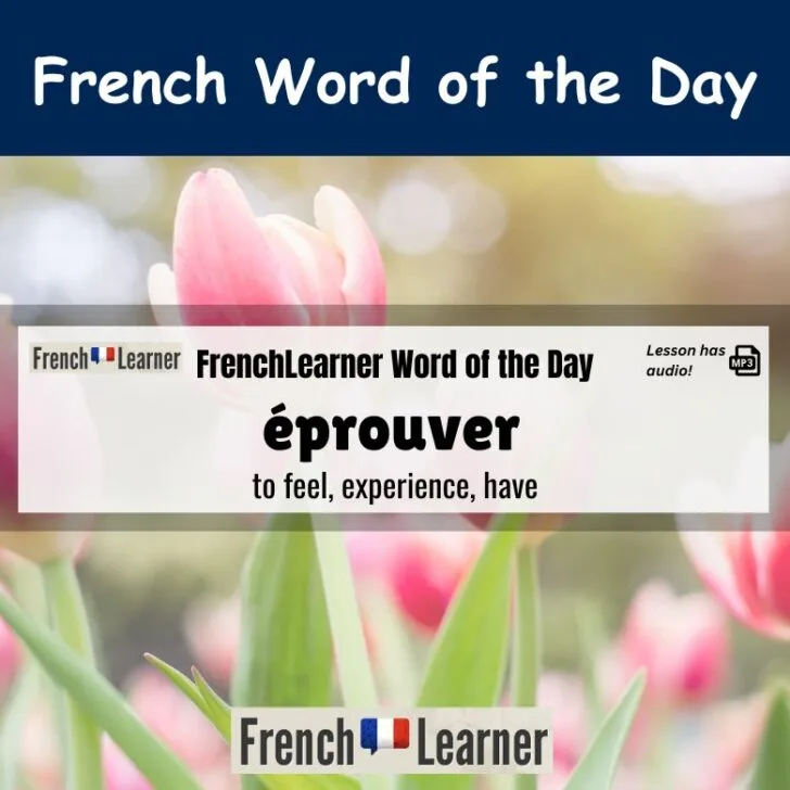 &Eacute;prouver (To feel, experience)