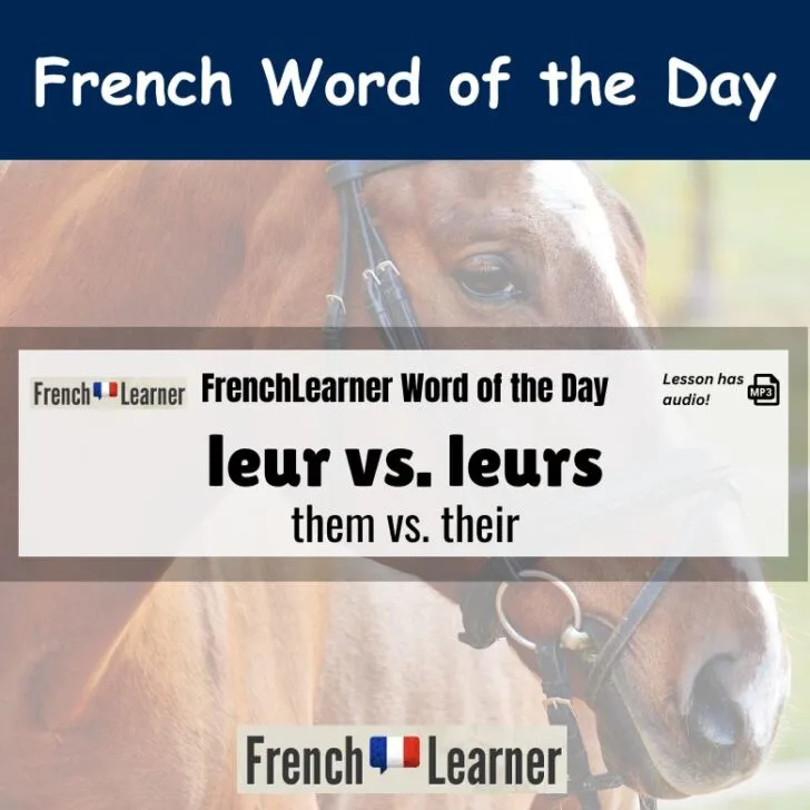 Leur vs. leurs (Them vs. their)