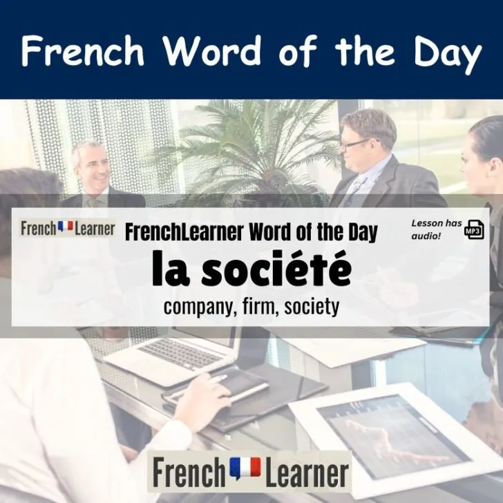 La soci&eacute;t&eacute; (Company, firm, society)