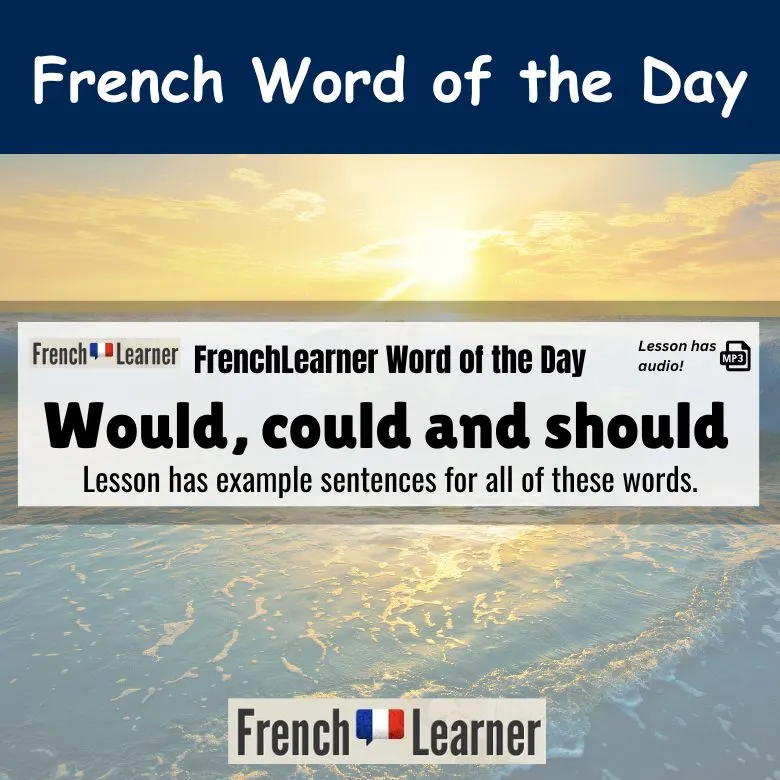 Lesson explaining how to say would, could and should in French.
