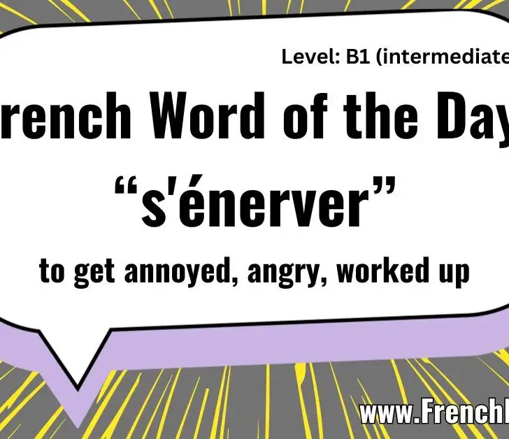 S&rsquo;&eacute;nerver (To get annoyed)