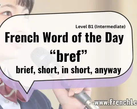 Bref (In Short / Anyway)