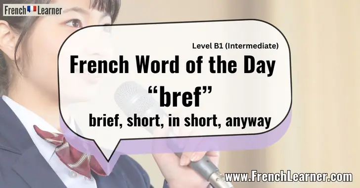 French Word of the Day &ldquo;bref&rdquo; brief, short, in short, anyway