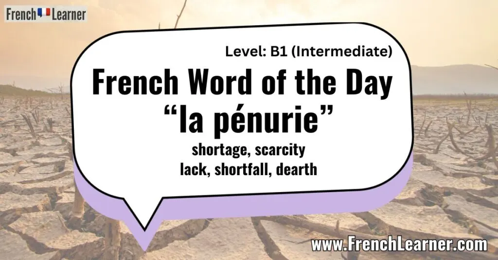 French Word of the Day &ldquo;la p&eacute;nurie&rdquo; shortage, scarcity lack, shortfall, dearth