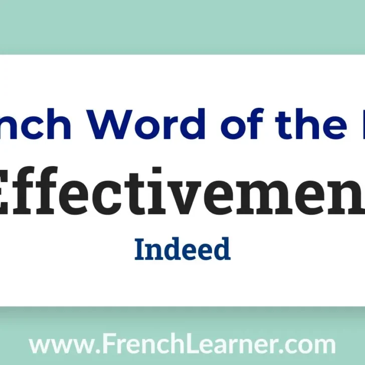 Effectivement (Indeed)