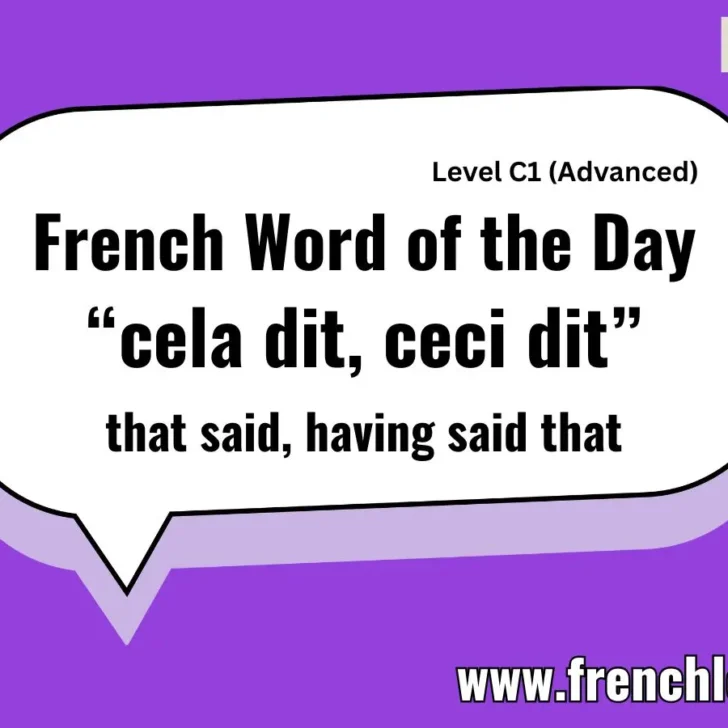 Cela dit / Ceci dit (That said)