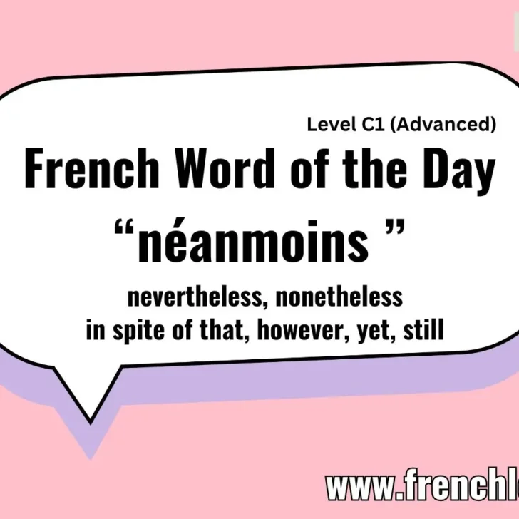 N&eacute;anmoins (However / Nevertheless)