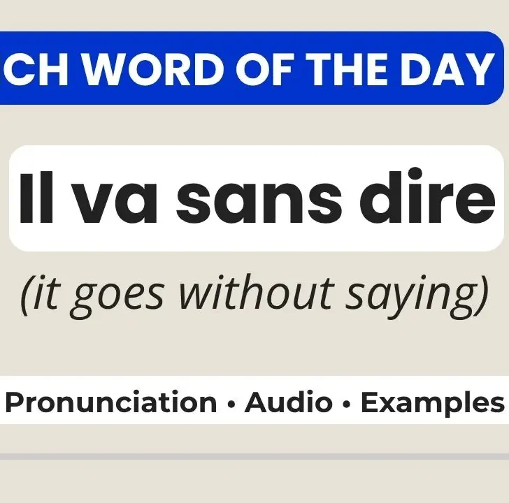 French Word of the Day &ndash; Il va sans dire (It goes without saying)