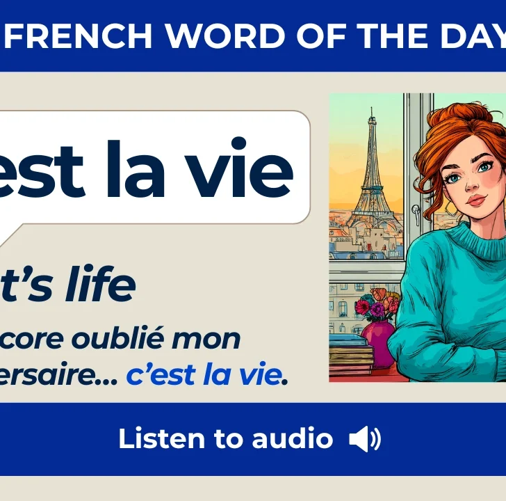 C&rsquo;est la vie &mdash; Meaning, Pronunciation, and Examples in French