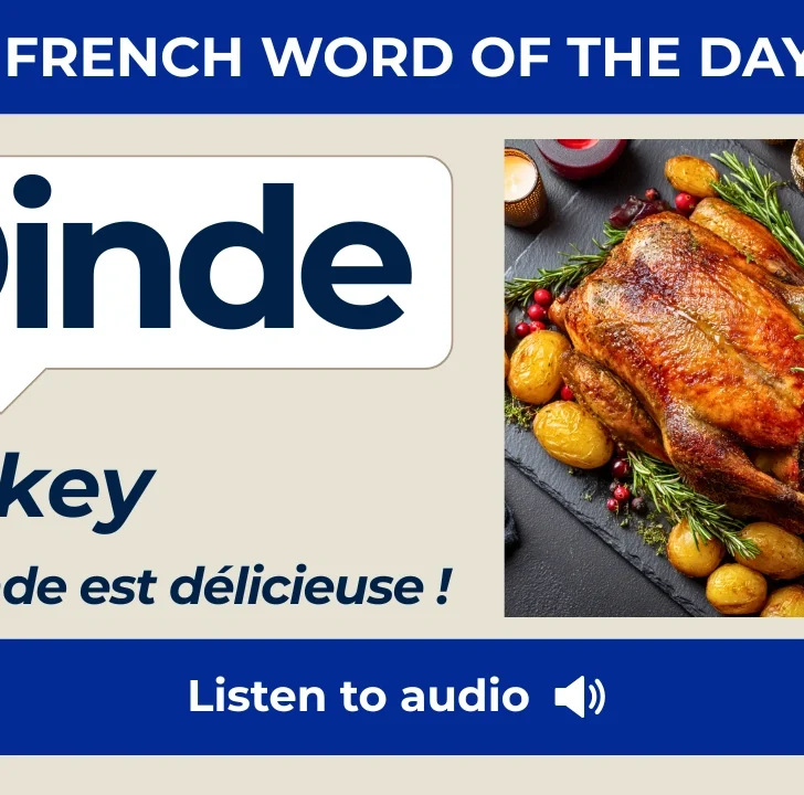 Dinde — Meaning, Pronunciation, and Examples in French