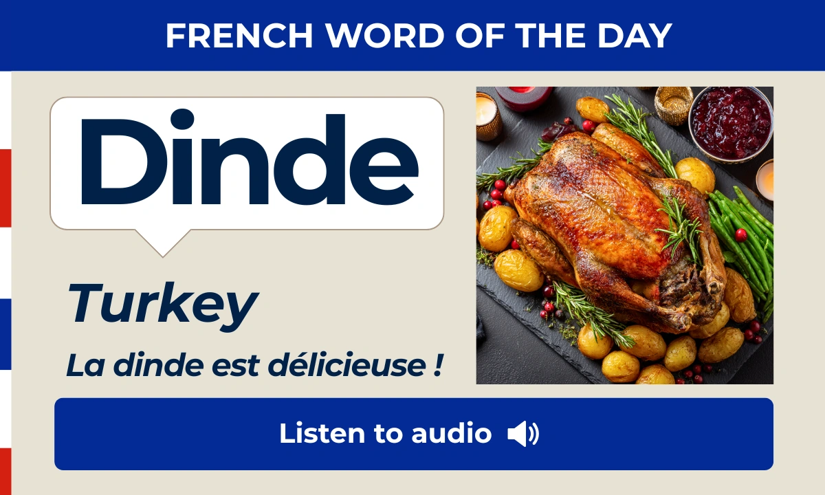 Dinde – Turkey – French Word of the Day